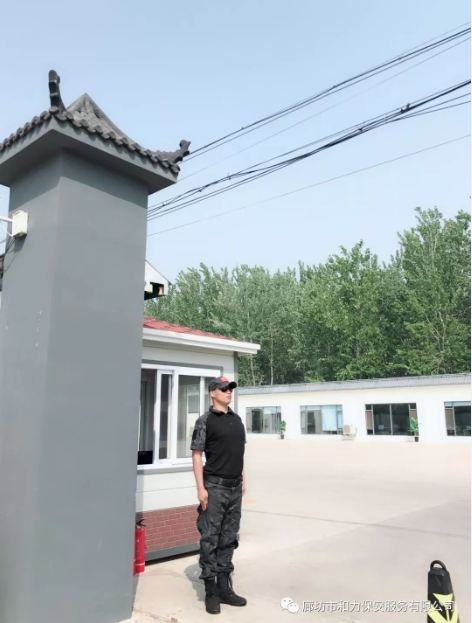1525424876(1).png