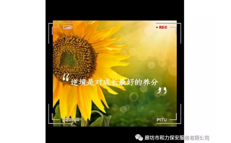 ΢Žͼ_20180920144611.png